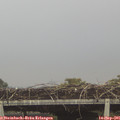07_25-mast.jpg