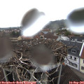 07_25-nest.jpg