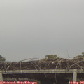 07_30-mast.jpg