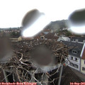 07_30-nest.jpg