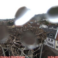 07_35-nest.jpg
