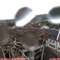 07_40-nest.jpg
