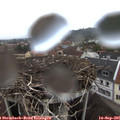 07_45-nest.jpg