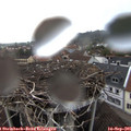 07_50-nest.jpg