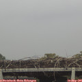 08_05-mast.jpg