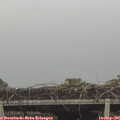 08_10-mast.jpg