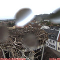 08_20-nest.jpg