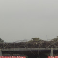 08_25-mast.jpg