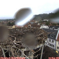 08_25-nest.jpg