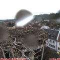 08_35-nest.jpg