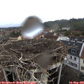 09_30-nest.jpg
