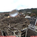 09_55-nest.jpg