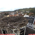 10_20-nest.jpg