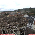 10_30-nest.jpg