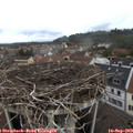 10_45-nest.jpg