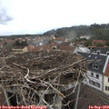 11_15-nest.jpg