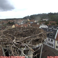 11_20-nest.jpg