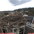 11_25-nest.jpg