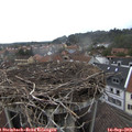 11_35-nest.jpg