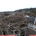11_40-nest.jpg