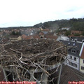 11_45-nest.jpg