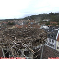 12_00-nest.jpg