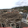 12_05-nest.jpg