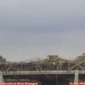 12_10-mast.jpg