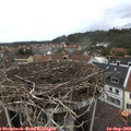 12_10-nest.jpg