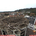 12_15-nest.jpg