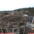 12_20-nest.jpg