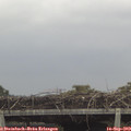 12_25-mast.jpg