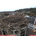 12_25-nest.jpg