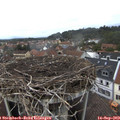 12_30-nest.jpg