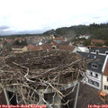 12_40-nest.jpg