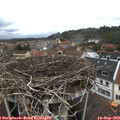 12_45-nest.jpg