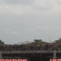 12_55-mast.jpg