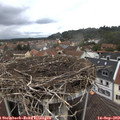 12_55-nest.jpg
