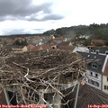 13_00-nest.jpg