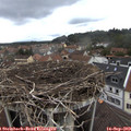 13_05-nest.jpg