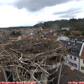 13_10-nest.jpg