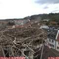 13_15-nest.jpg