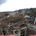 13_20-nest.jpg