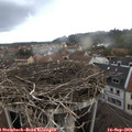 13_25-nest.jpg