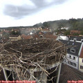 13_30-nest.jpg