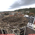 13_35-nest.jpg