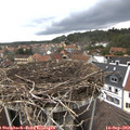 13_40-nest.jpg