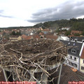 13_45-nest.jpg