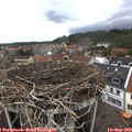 13_55-nest.jpg