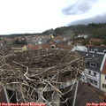 14_00-nest.jpg